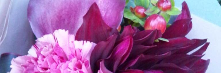 satory_na's profile banner image