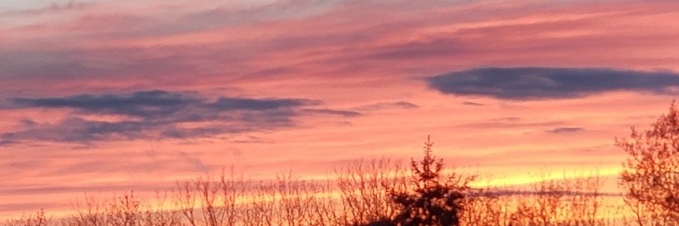 heidianncramer's profile banner image