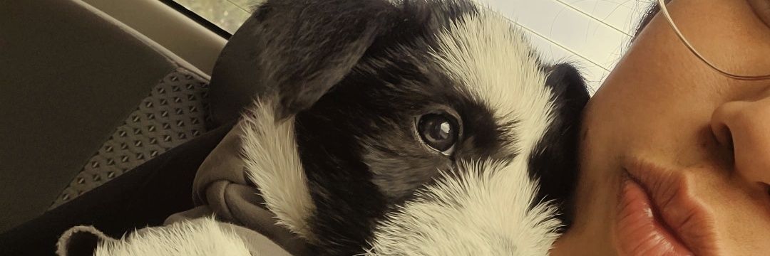 Claryy_12's profile banner image
