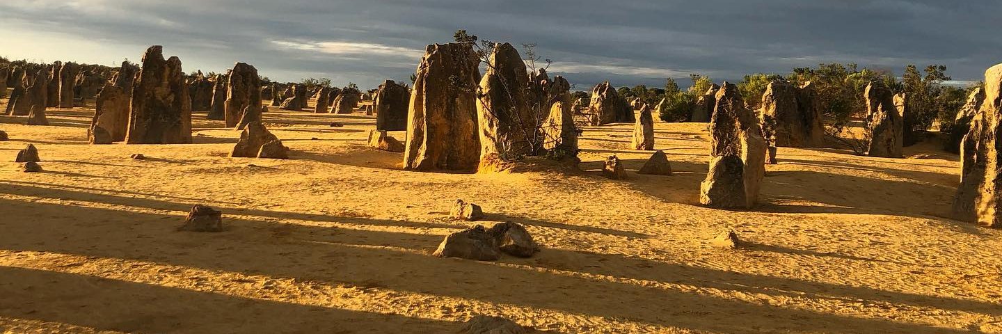 Vee Pendergrast banner