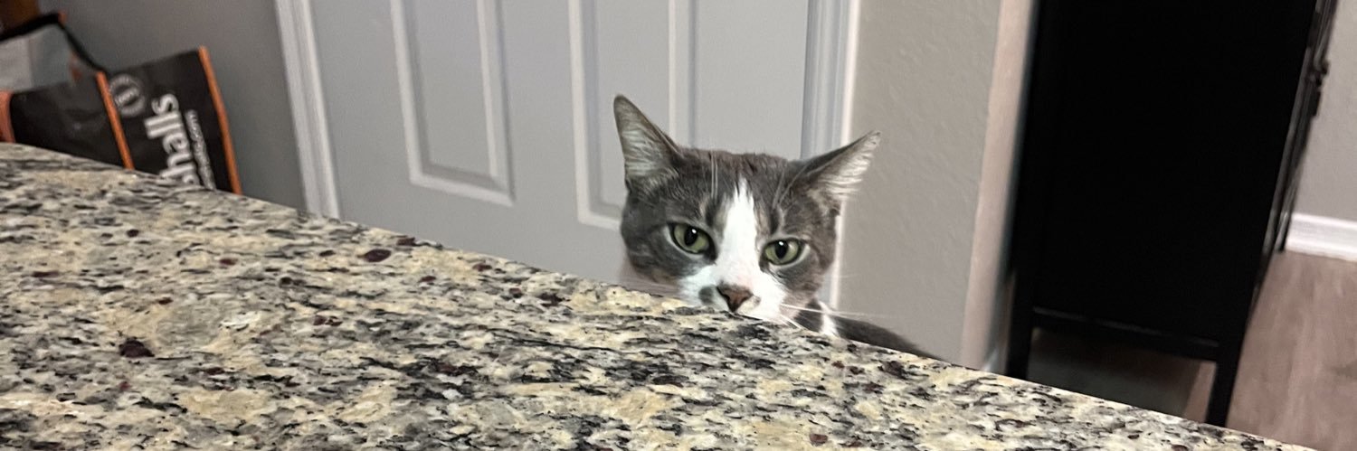lindmints's profile banner image