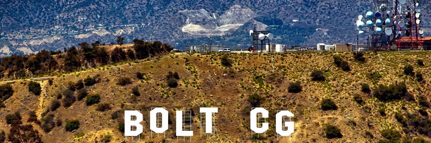 Bolt Cook Group banner