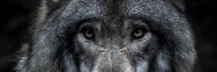 costman_1's profile banner image