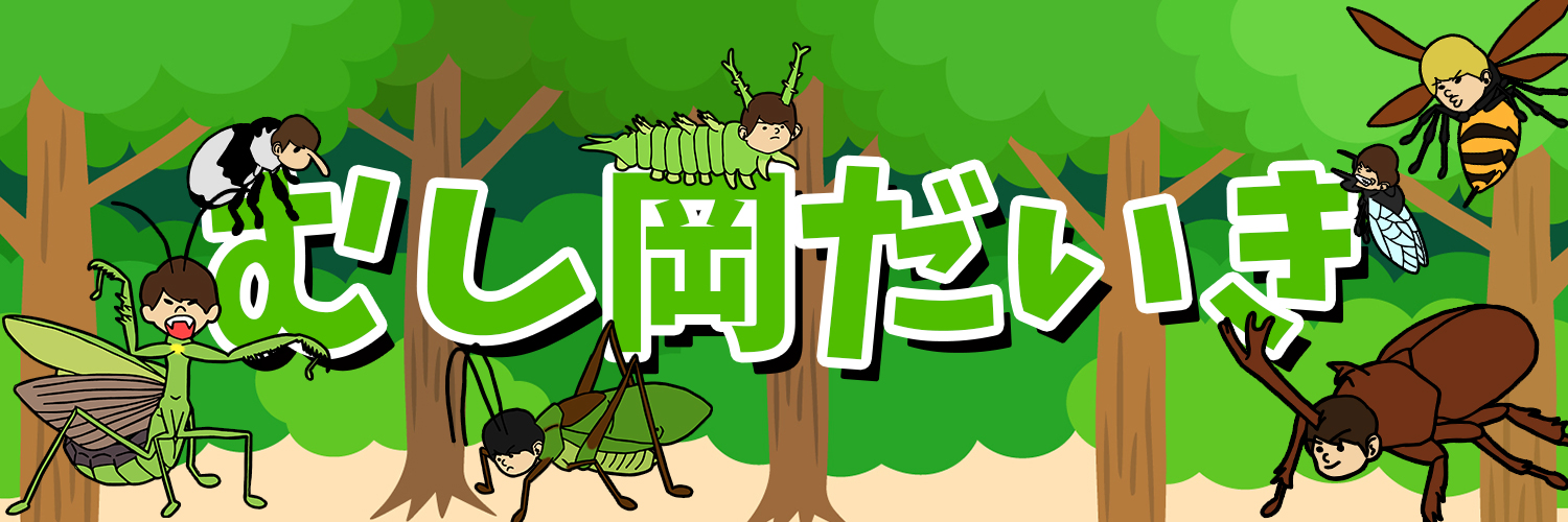 むし岡だいき🐜昆虫採集YouTuber's banner
