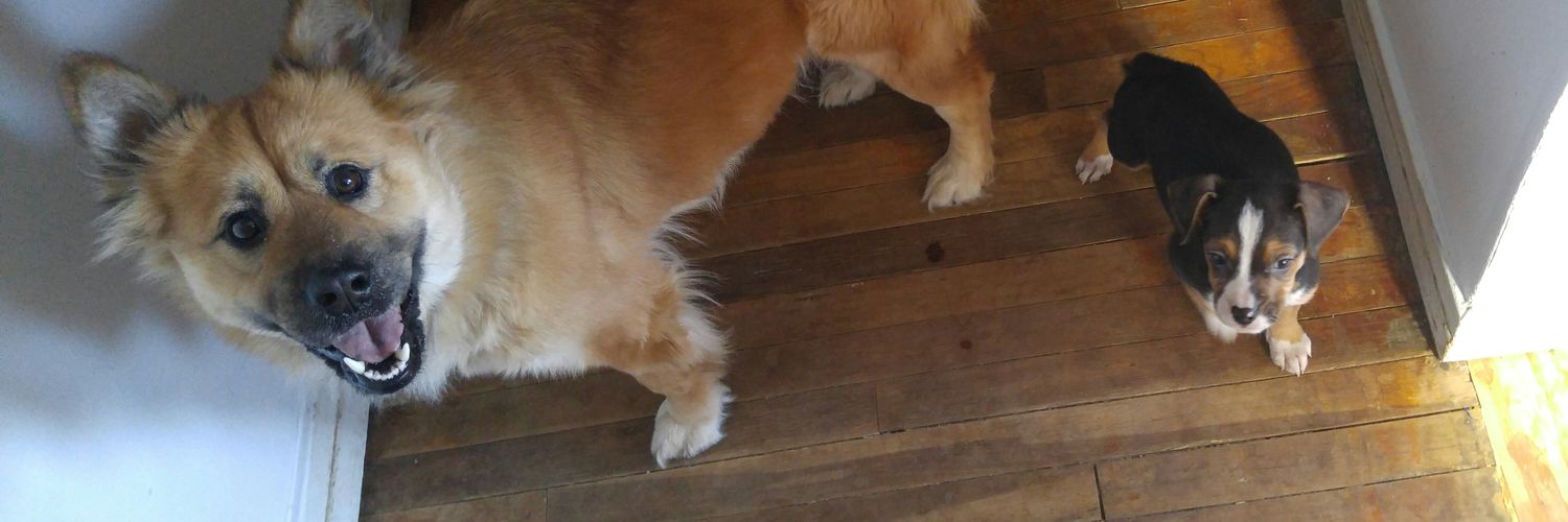 SammySlobando's profile banner image