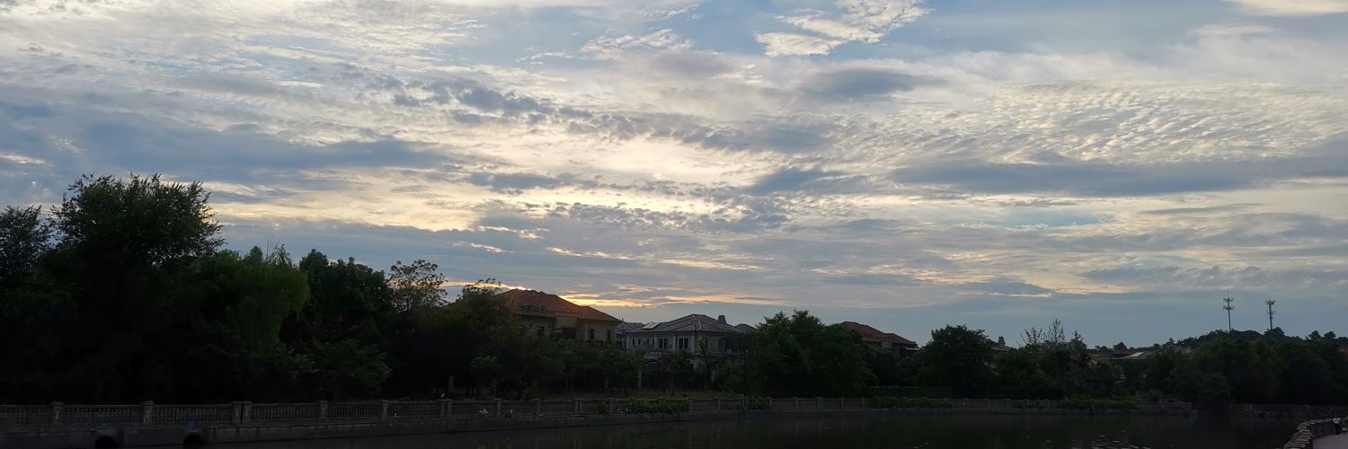 CryptoVanness's profile banner image