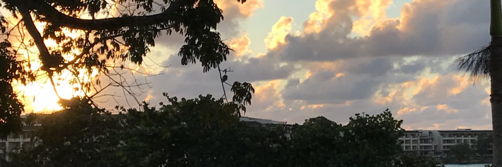 Cohen_DC's profile banner image