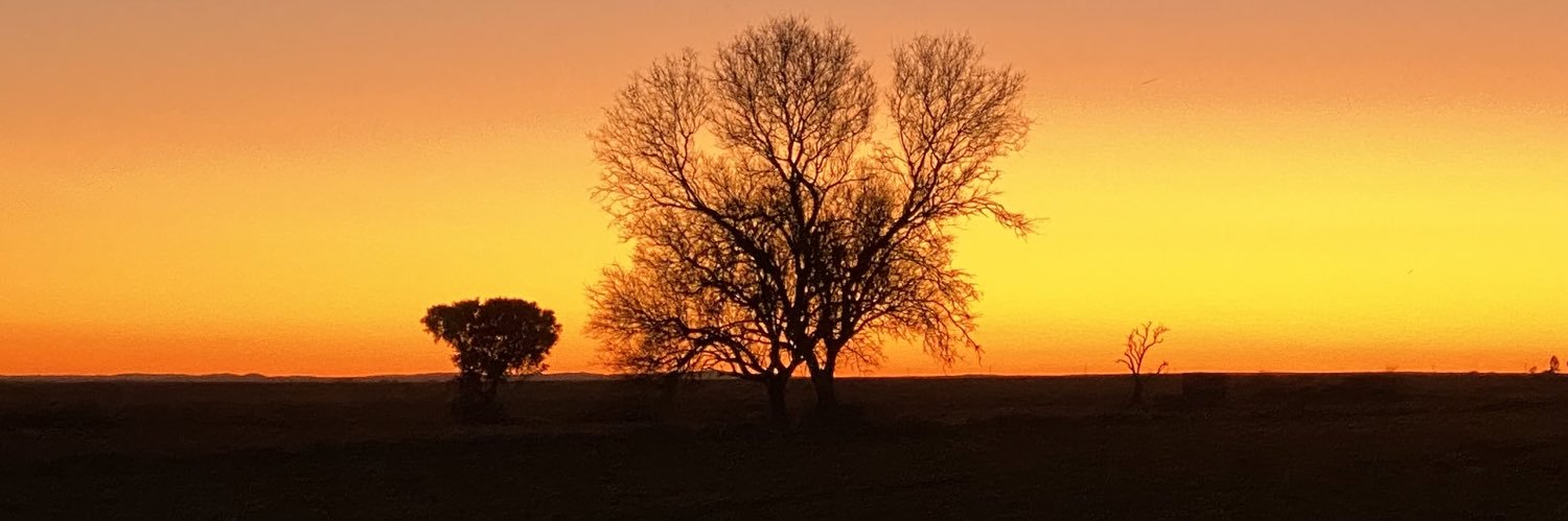 dvarelaj's profile banner image