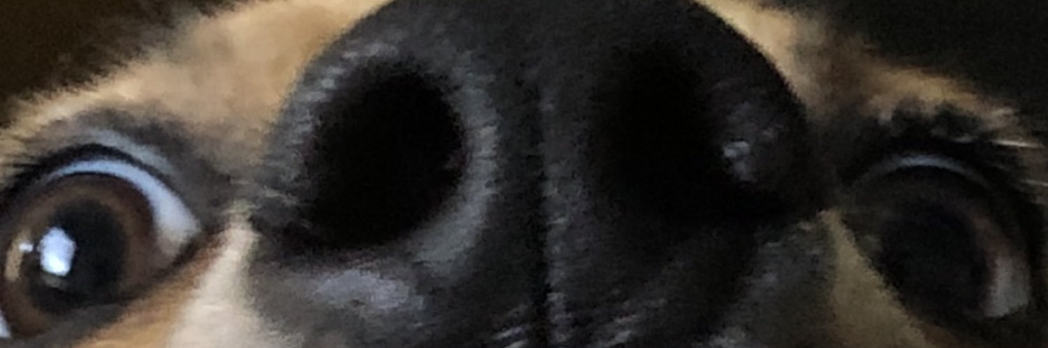 DaBears193's profile banner image