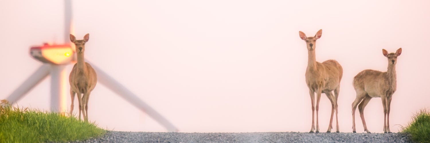 まりこ_ photography@ほっかいどうのそらのした's banner