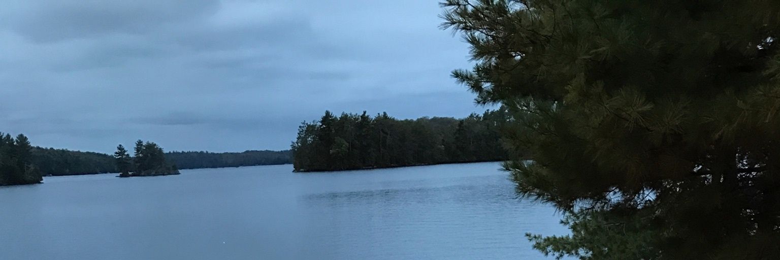 powislife's profile banner image