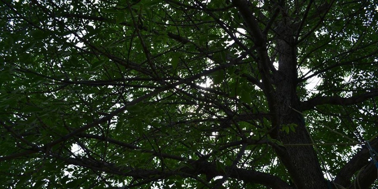 EvemarioVe's profile banner image