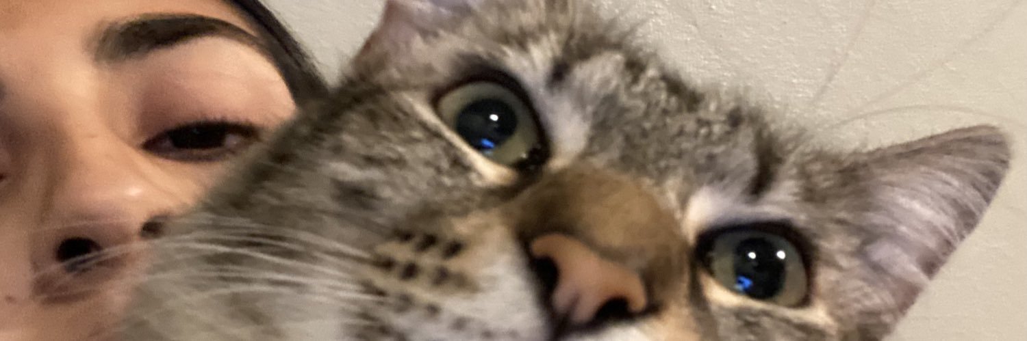 everlyn_ig's profile banner image