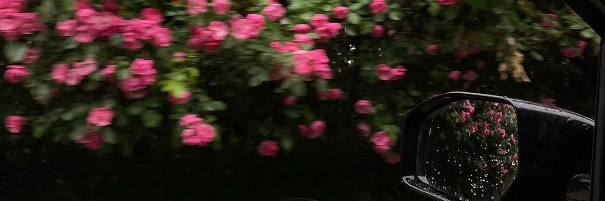 berbiczh's profile banner image