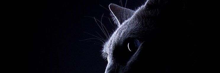 olevendrell's profile banner image