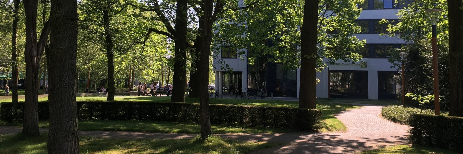 BA_LiberalArts's profile banner image