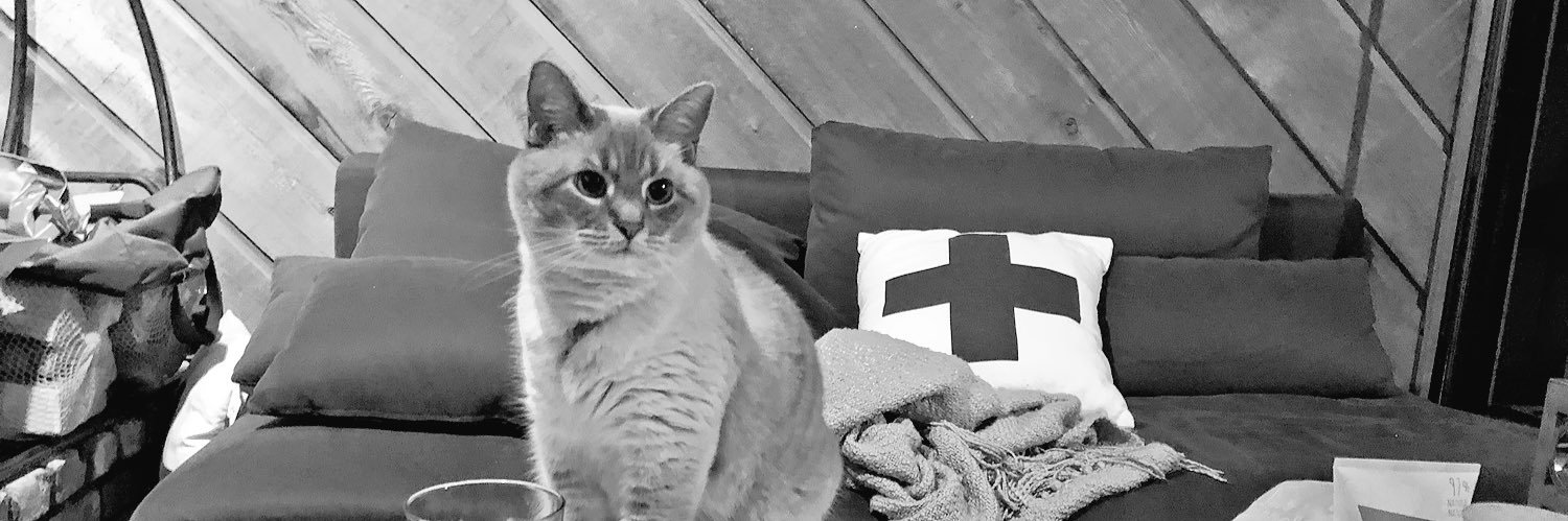 taluscats's profile banner image
