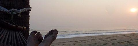 Simon Hillier banner