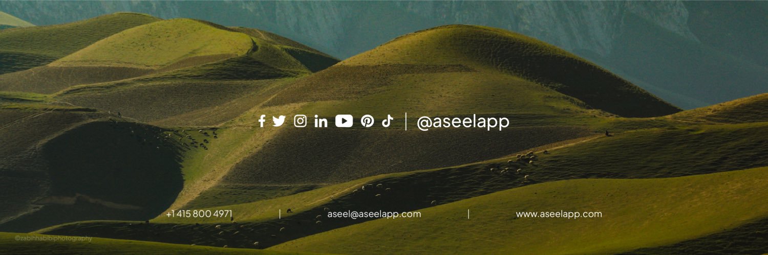 Aseel banner