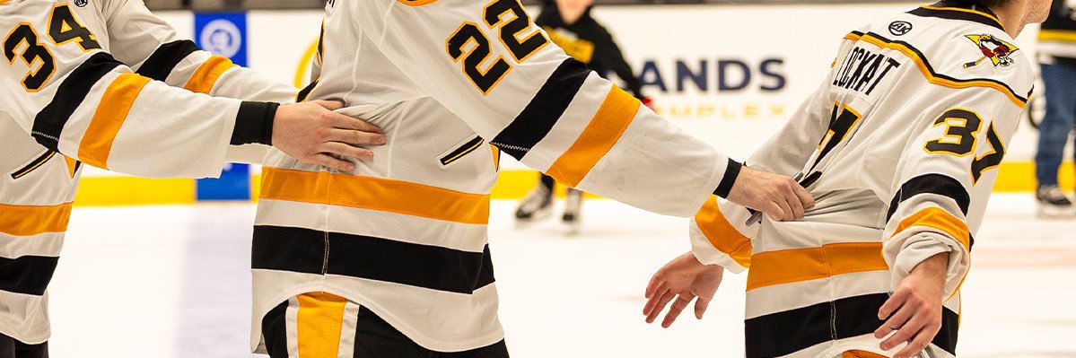 WellPuckYouToo's profile banner image