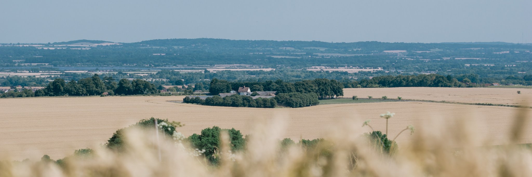 Kingsgrove Wantage banner