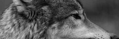 ibrahimcigerci's profile banner image