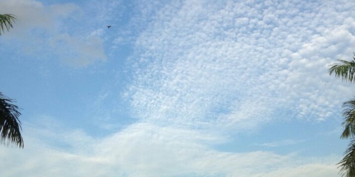 太空人🏳️‍🌈🌚 banner