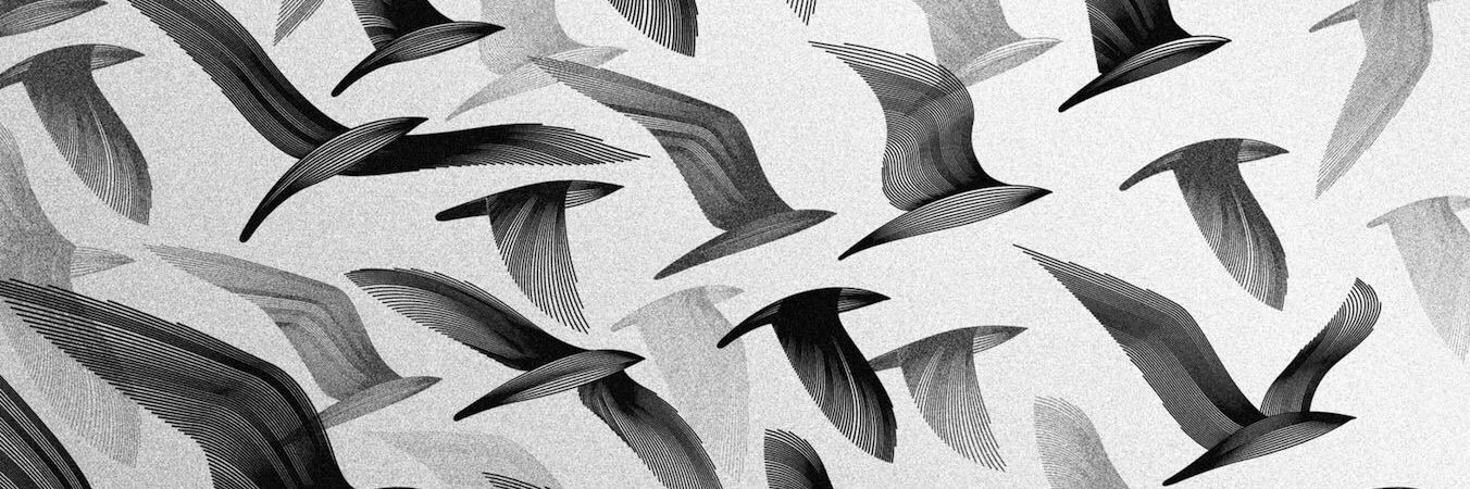 eksikdeste's profile banner image