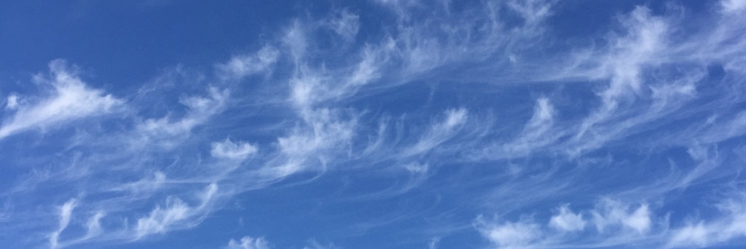 isabelle bergeron banner