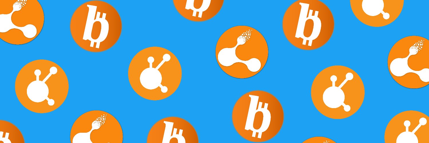 The bitconnect timechain community 🪙 The btc Profile Banner