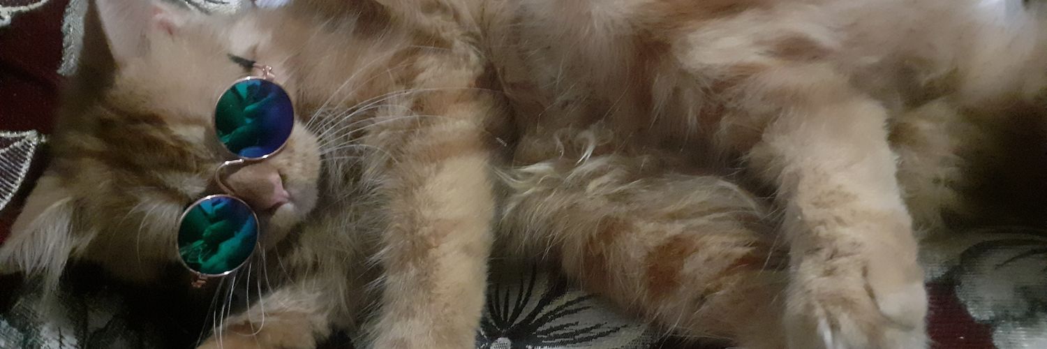 NonaDieta's profile banner image