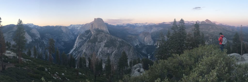 Alexia Schmidt banner