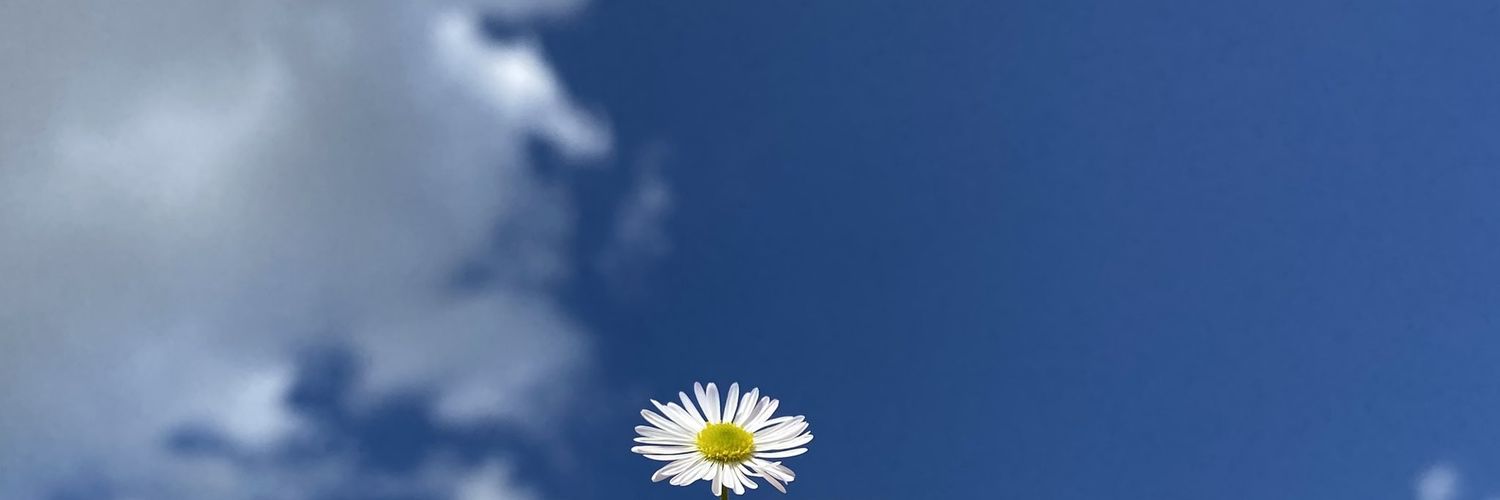 ningnongi's profile banner image