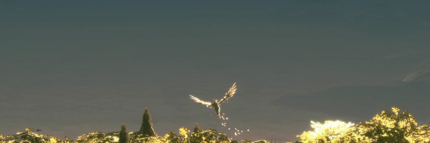 header image
