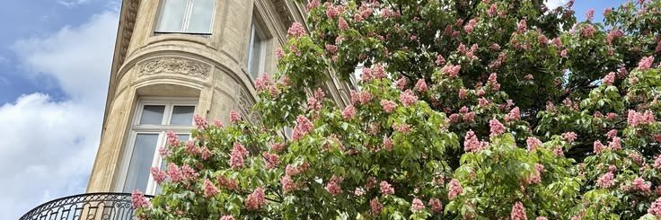 sundflowers's profile banner image