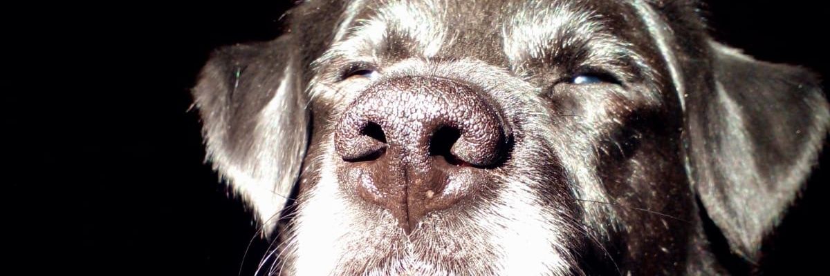 CostasFabi's profile banner image