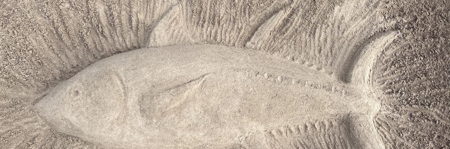 Dr Katrina Liebich banner