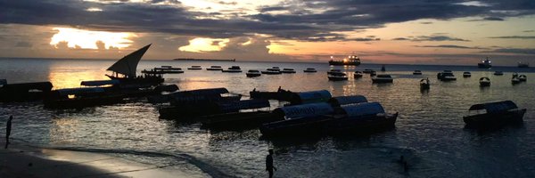 Danai_Tembo Profile Banner