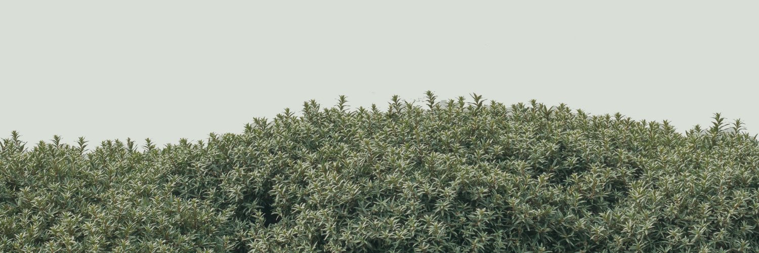 essenco_mk's profile banner image
