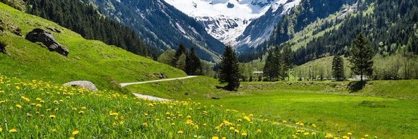 4Gage_ Profile Banner