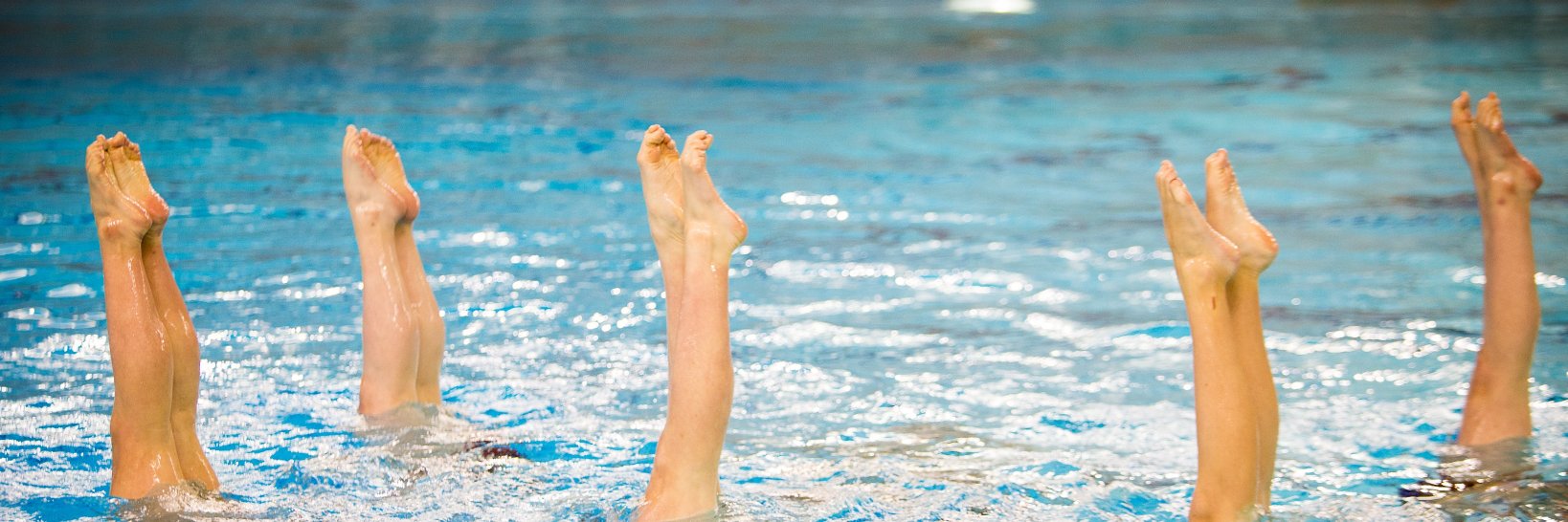 Lethbridge Synchrobelles banner