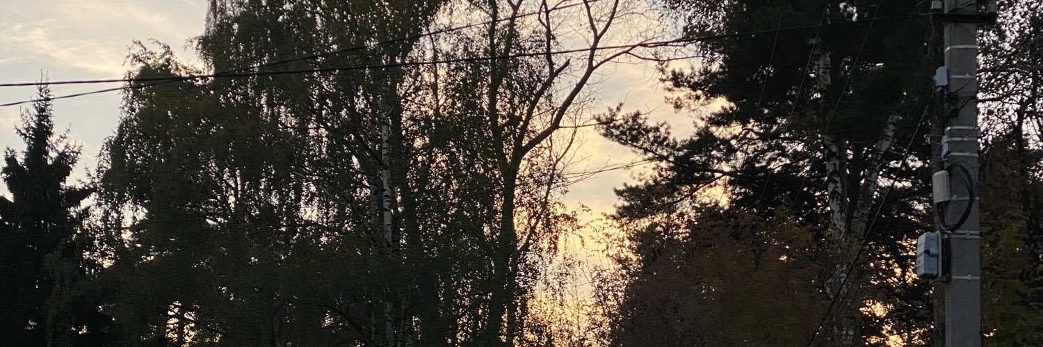 wutwiy's profile banner image