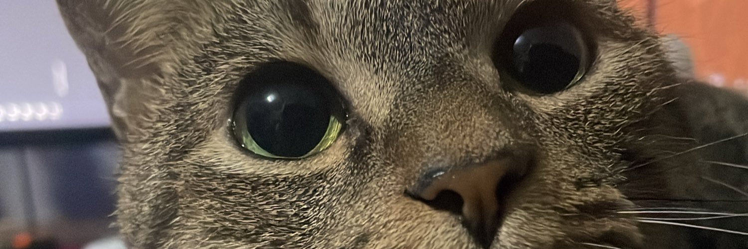 mseedlr's profile banner image