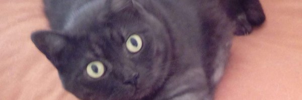 JordiBou7 Profile Banner