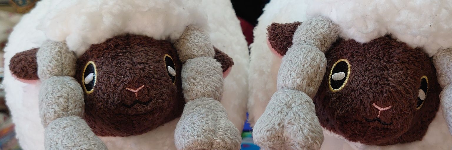 header image