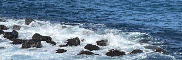 Msbossylovingl1 Profile Banner