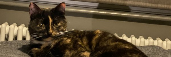 RuthHKeogh Profile Banner