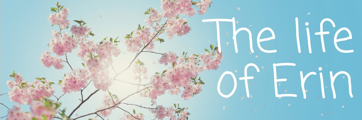 LifeOfEriinn's profile banner image