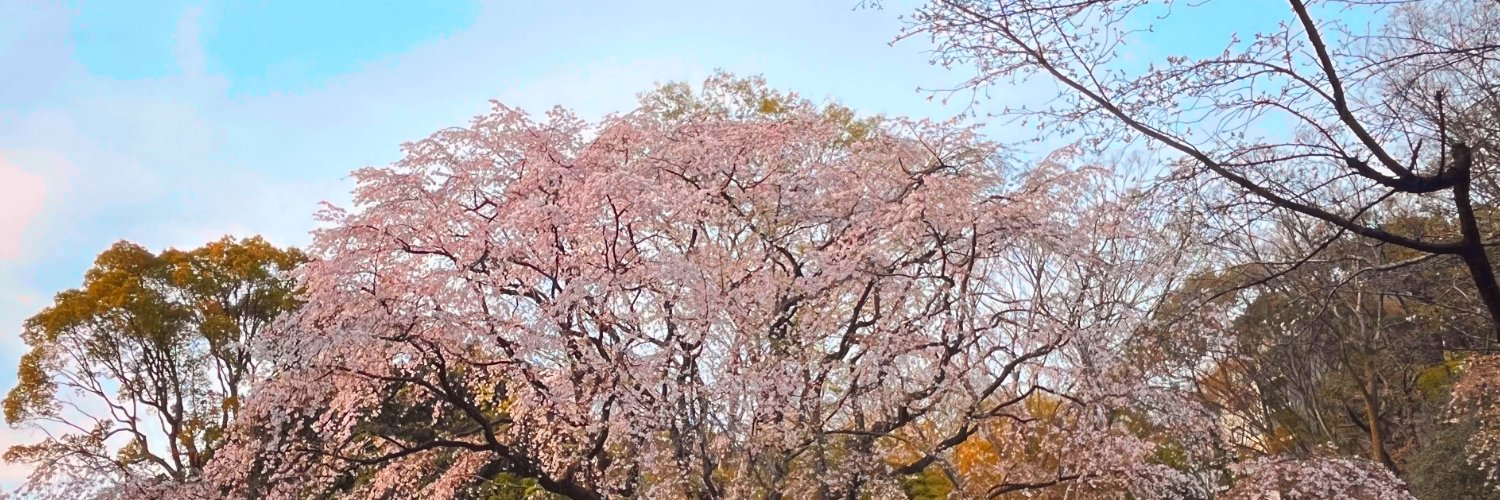 ma_terabe's profile banner image