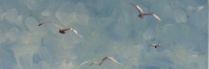 weronika🌿 banner